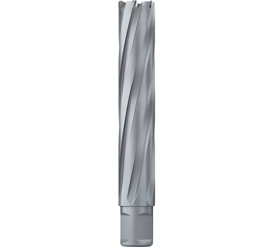 Сверло кольцевое 75х100 мм, TCT, Weldon 32 EUROBOOR HMX.750