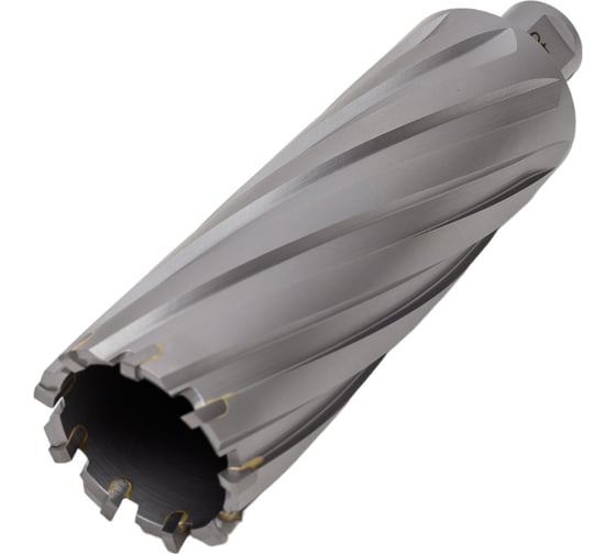 Сверло кольцевое 40х100 мм, TCT, Weldon 19 EUROBOOR HMX.400