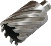 Сверло корончатое кольцевое по металлу 17x50 мм, Р6АМ5, Weldon 19 мм CNIC 38657