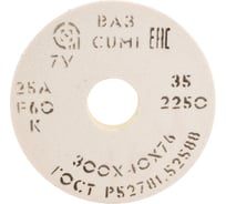 Круг шлифовальный 1 (300x40x76 мм, 25А, F60 K 7 V 2250) ОАО Волжский абразивный завод Н0017796 УП-00197451