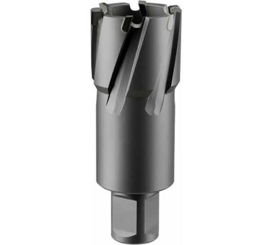Фреза кольцевая TCT 16x55 мм Rotorica RT.4225016 1
