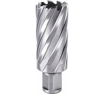 Корончатое сверло №102 13х30/63 мм, HSS M2, WELDON 19 Профоснастка 40102002