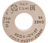 Круг шлифовальный 1 (300х40х127 мм; 25 А; 40СТ F46 O/P/Q) Волжский абразивный завод 007564