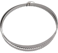 Пила ленточная Carbon 3405 мм, 25 мм, шаг 2TPI REALREZ 4687203264857