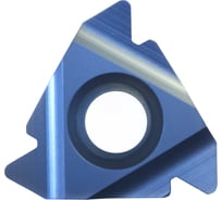Пластина резьбонарезная сменная твердосплавная 22ER4.00ISOLP0520 10 шт Prosaers 32462