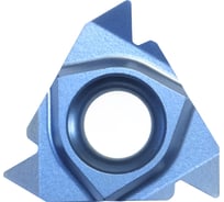 Пластина резьбонарезная сменная твердосплавная 16ERG60LP0520 10 шт Prosaers 32398