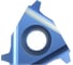 Пластина резьбонарезная сменная твердосплавная 22ER4.00TRLP0520 10 шт Prosaers 32464 1