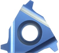 Пластина резьбонарезная сменная твердосплавная 22ER5.00TRLP0520 10 шт Prosaers 32474