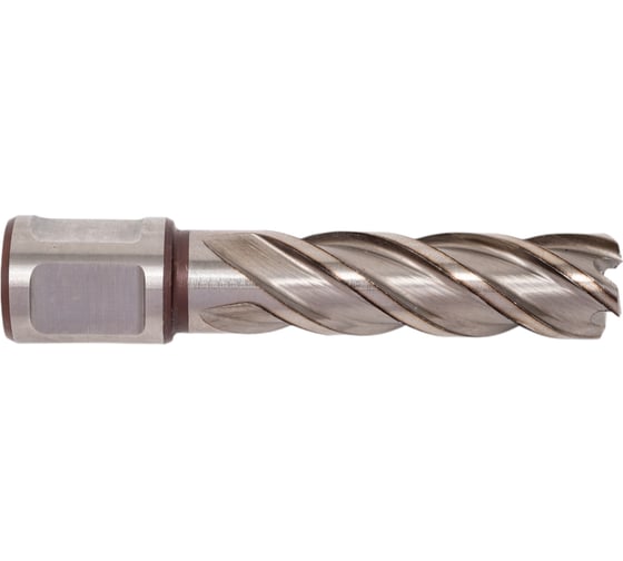 Фреза кольцевая HSS (16x55 мм) FE POWERTOOLS FE5516 1