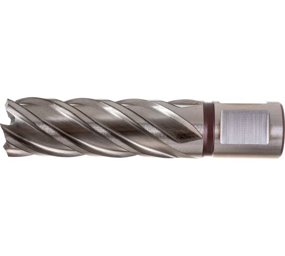 Фреза кольцевая HSS (20x55 мм) FE POWERTOOLS FE5520 1
