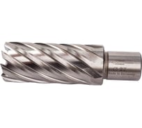 Фреза кольцевая HSS (27x55 мм) FE POWERTOOLS FE5527
