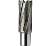 Фреза кольцевая HSS (39x55 мм) FE POWERTOOLS FE5539