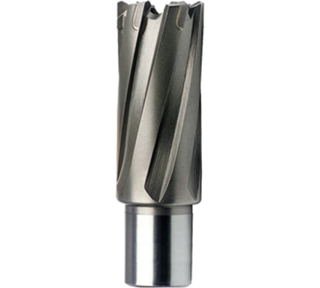 Фреза кольцевая HSS (48x55 мм) FE POWERTOOLS FE5548