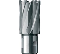 Фреза кольцевая HSS (17х30 мм) FE POWERTOOLS FE3017