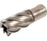 Фреза кольцевая HSS (22х30 мм) FE POWERTOOLS FE3022 1