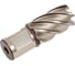 Фреза кольцевая HSS (22х30 мм) FE POWERTOOLS FE3022 2