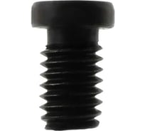 Винт DSP0612 СпецТехИнструмент DSP0612SANT