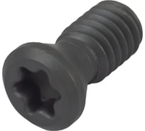 Винт TL60 серия Standard Debever Machining Solutions DB-S-TL60M3070