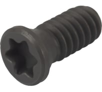 Винт TL60 Standard M2.2x5.5 Debever Machining Solutions DB-S-TL60M2255