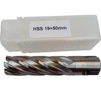 Фреза кольцевая HSS (19x50 мм) ROTORICA RT.4215019