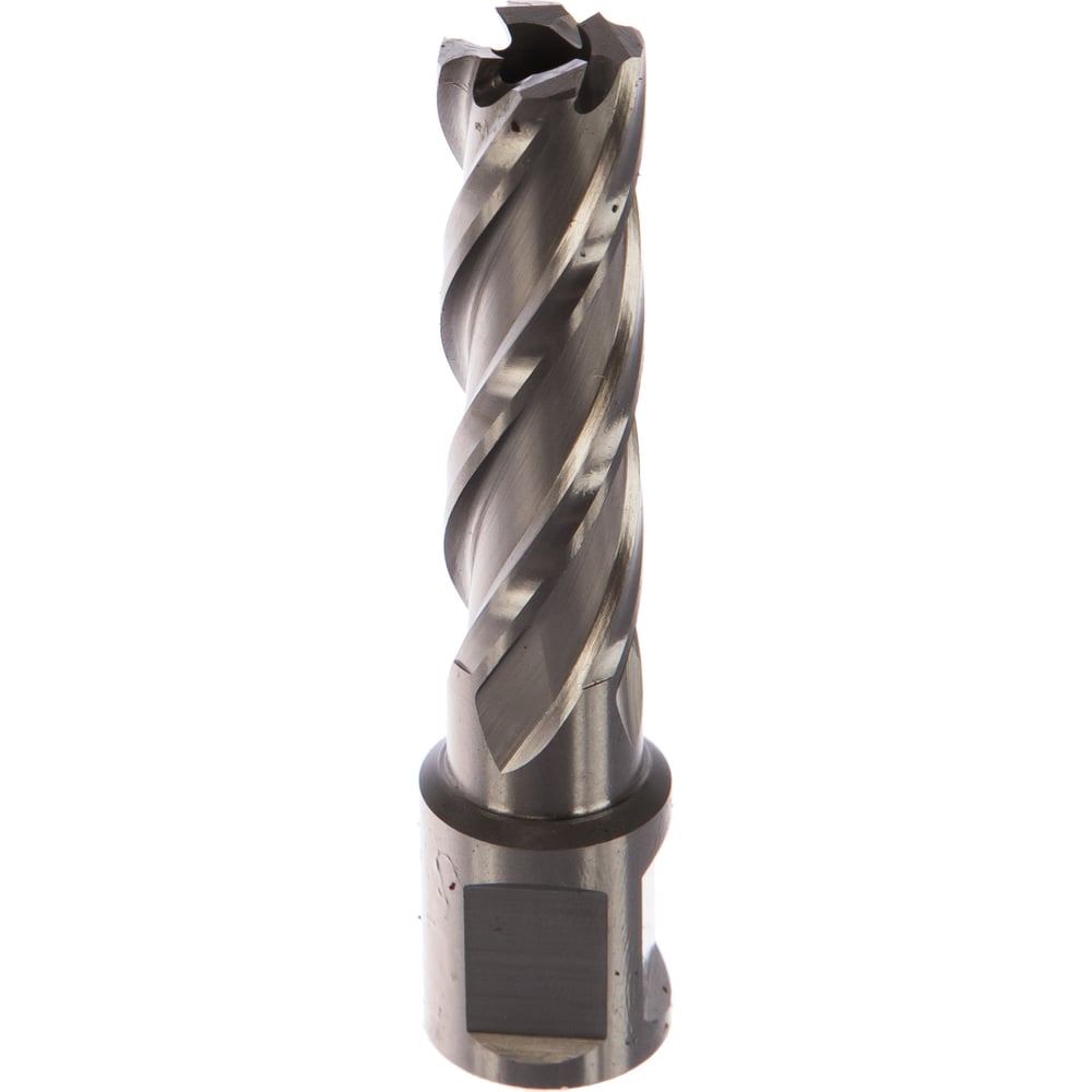 Фреза кольцевая HSS (15x50 мм) ROTORICA RT.4215015 - выгодная цена ...