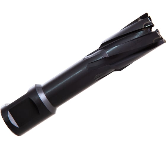 Фреза кольцевая TCT (19x50 мм) ROTORICA RT.4225019