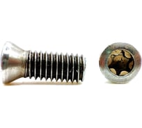 Винт L60 M5х16 СпецТехИнструмент L60M5х16SANT