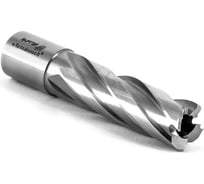 Сверло корончатое по металлу HSS Rotabroach 25х50 мм RAPL 250 КБ006227