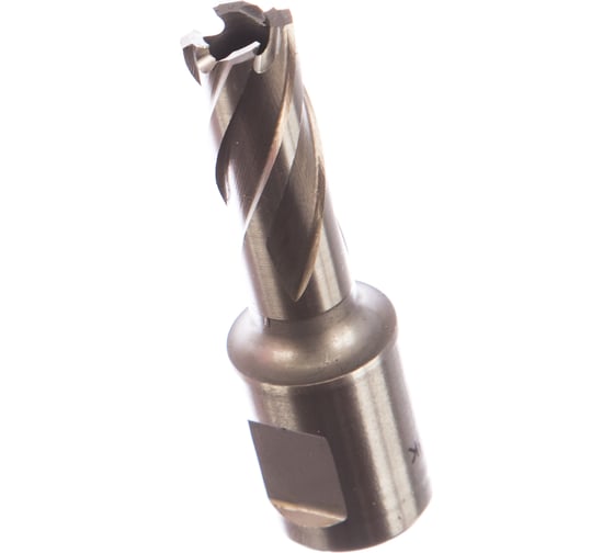 Кольцевая фреза HSS (12х30 мм; Weldon 19) Milwaukee 4932371740 1