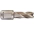 Кольцевая фреза HSS (13х30 мм; Weldon 19) Milwaukee 4932371741 1