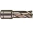 Кольцевая фреза HSS (15х30 мм; Weldon 19) Milwaukee 4932343271 1