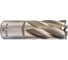 Кольцевая фреза HSS (19х30 мм; Weldon 19) Milwaukee 4932343275 1