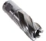 Кольцевая фреза HSS (19х30 мм; Weldon 19) Milwaukee 4932343275 4