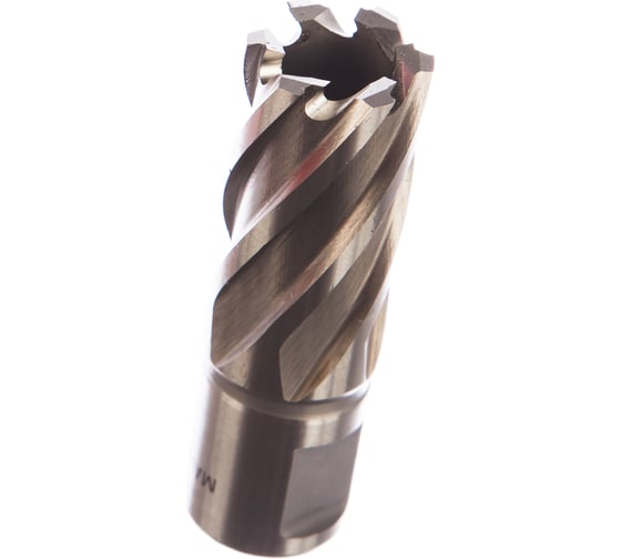 Кольцевая фреза HSS (20х30 мм; Weldon 19) Milwaukee 4932343276 1