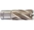 Кольцевая фреза HSS (21х30 мм; Weldon 19) Milwaukee 4932343277 1
