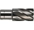 Кольцевая фреза HSS (24х30 мм; Weldon 19) Milwaukee 4932343280 1