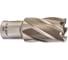 Кольцевая фреза HSS (25х30 мм; Weldon 19) Milwaukee 4932343281 1