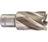 Кольцевая фреза HSS (27х30 мм; Weldon 19) Milwaukee 4932343283 1
