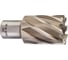 Кольцевая фреза HSS (29х30 мм; Weldon 19) Milwaukee 4932343285 1