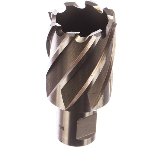 Кольцевая фреза HSS (30х30 мм; Weldon 19) Milwaukee 4932343286 1