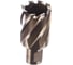 Кольцевая фреза HSS (30х30 мм; Weldon 19) Milwaukee 4932343286 1