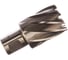 Кольцевая фреза HSS (30х30 мм; Weldon 19) Milwaukee 4932343286 2