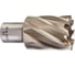 Кольцевая фреза HSS (31х30 мм; Weldon 19) Milwaukee 4932343287 1