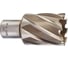 Кольцевая фреза HSS (32х30 мм; Weldon 19) Milwaukee 4932343288 1