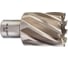 Кольцевая фреза HSS (34х30 мм; Weldon 19) Milwaukee 4932371743 1