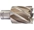 Кольцевая фреза HSS (35х30 мм; Weldon 19) Milwaukee 4932371744 1