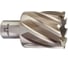 Кольцевая фреза HSS (37х30 мм; Weldon 19) Milwaukee 4932371746 1