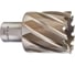 Кольцевая фреза HSS (38х30 мм; Weldon 19) Milwaukee 4932371747 1