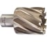 Кольцевая фреза HSS (39х30 мм; Weldon 19) Milwaukee 4932371748 1