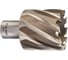 Кольцевая фреза HSS (41х30 мм; Weldon 19) Milwaukee 4932371750 1